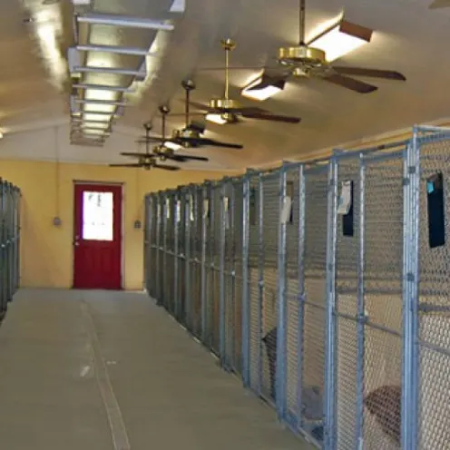 Advantage Pet Center Kennels